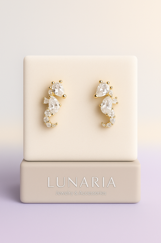 Topos de Caballo de Mar